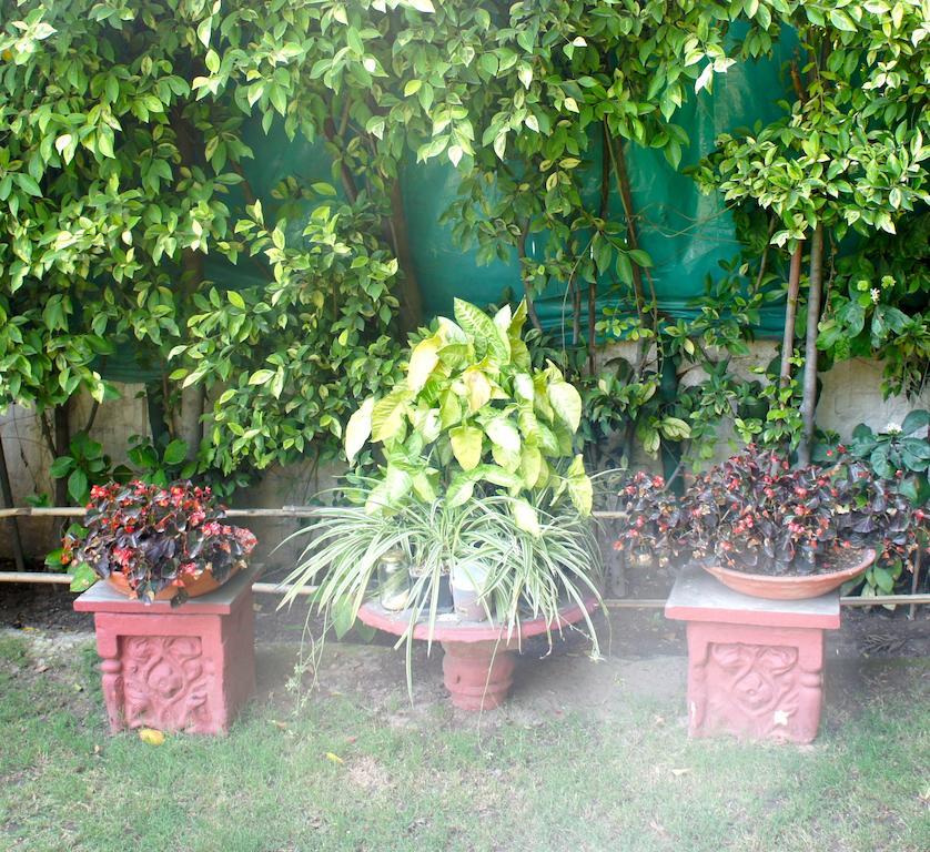 Sirohi House New Delhi Eksteriør billede