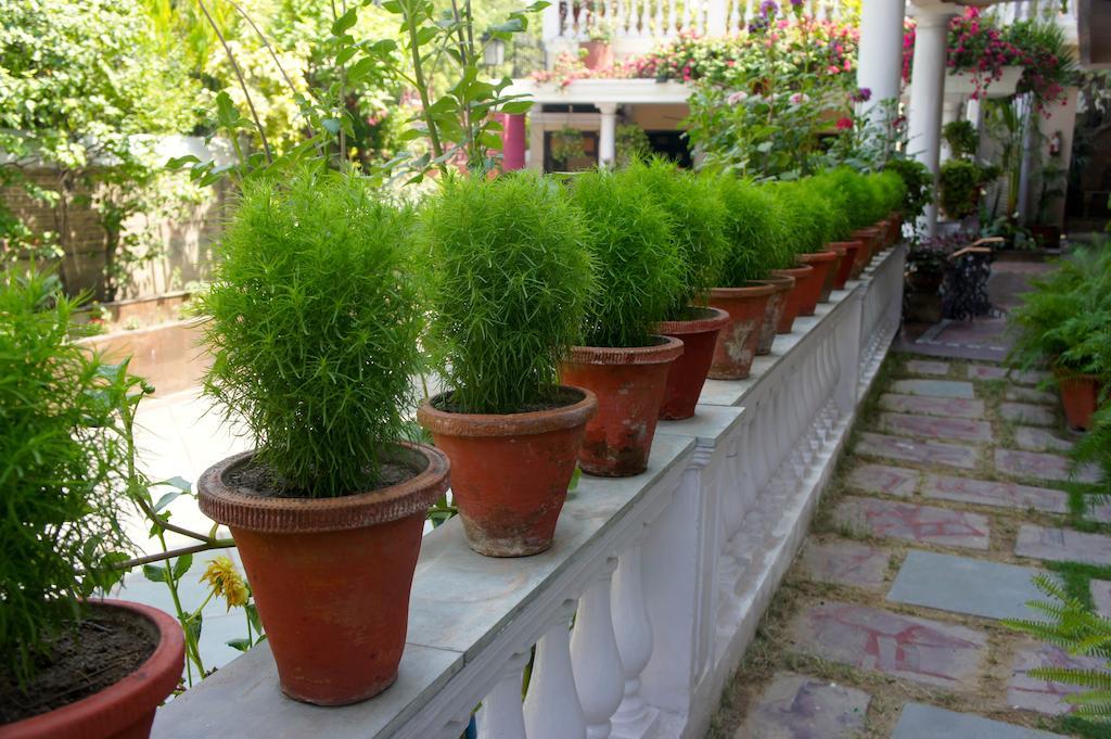 Sirohi House New Delhi Eksteriør billede